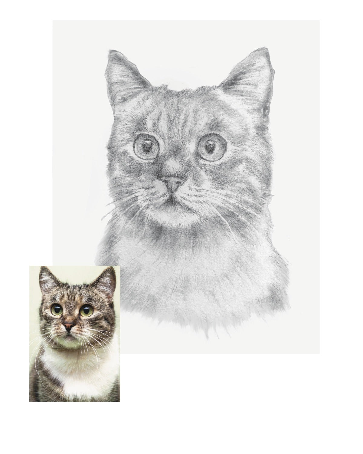 Pet Portraits, Commissioned Portraits, Customer Family Portraits