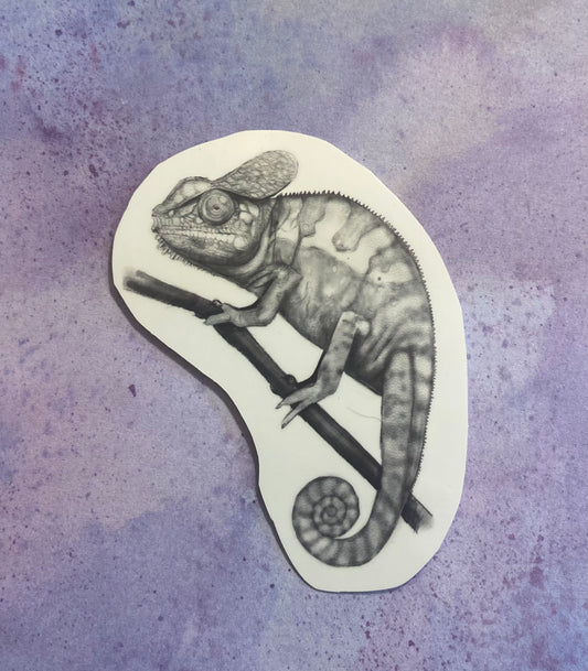Iguana Sticker lizard sticker, wildlife sticker, reptile sticker