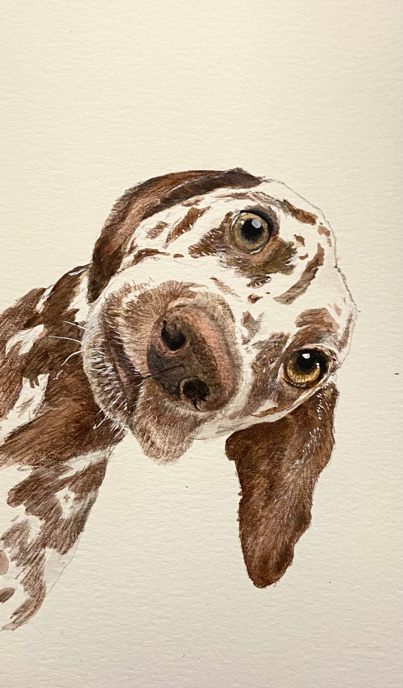 Watercolor Pet Portrait Custom Painting Animal , Dog Portrait from Photo, Cat Portrait from Photo, Pet Memorial Gift, Pet Loss, Pet Memorial