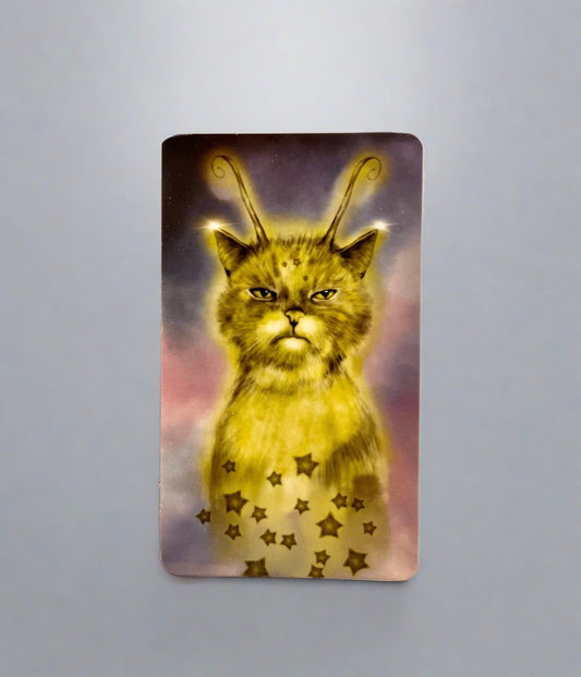Alien Kitty Sticker