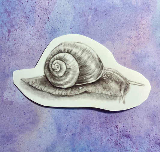Snail Pencil Drawn Sticker