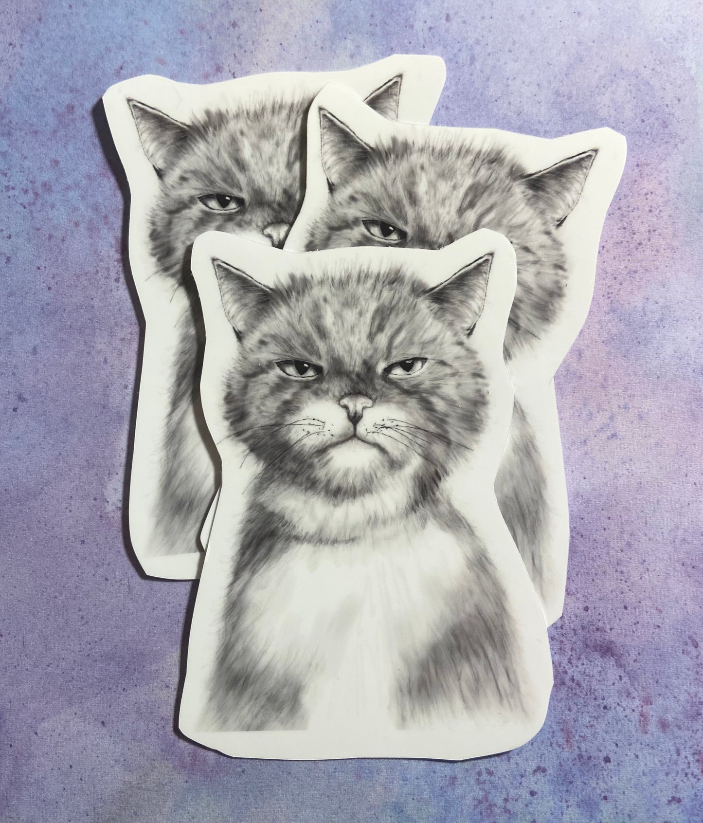 Mean Kitty Pencil Drawn Sticker