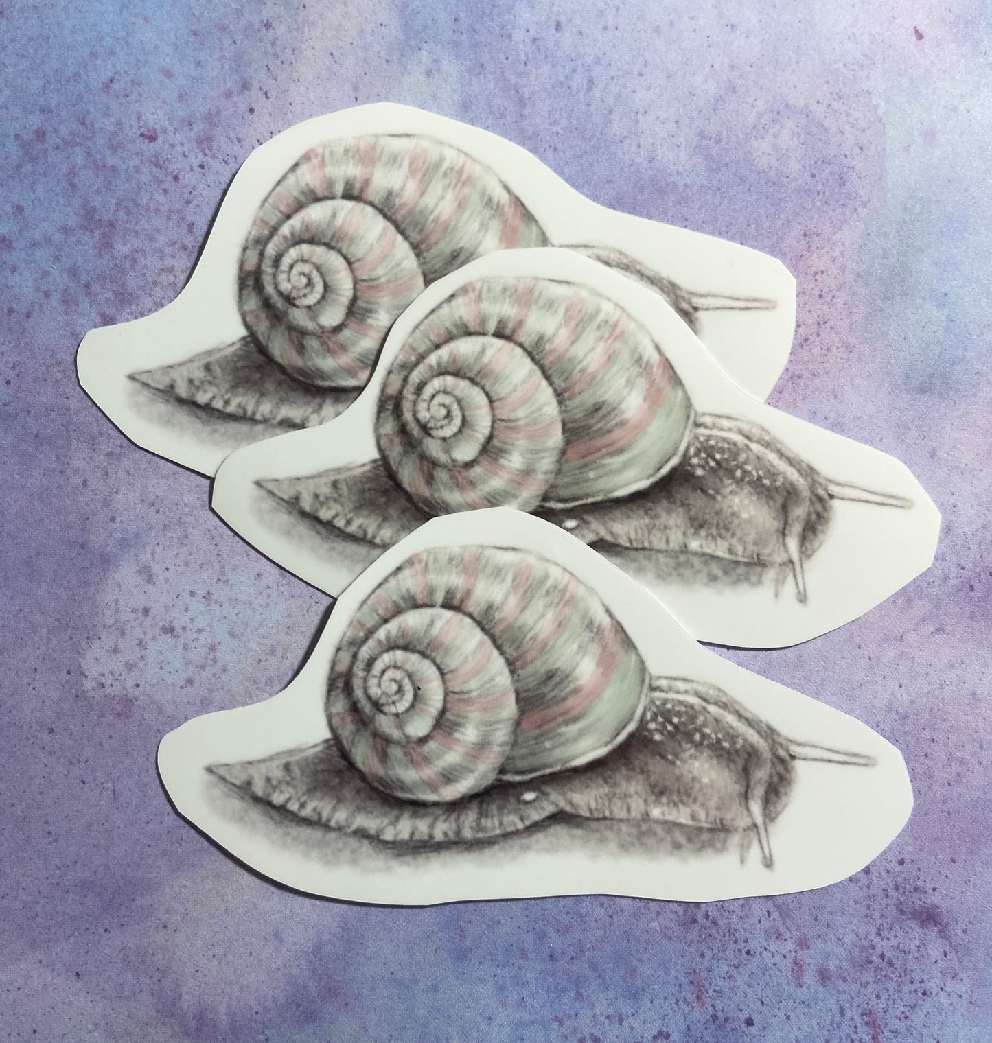 Snail Pencil Drawn Sticker