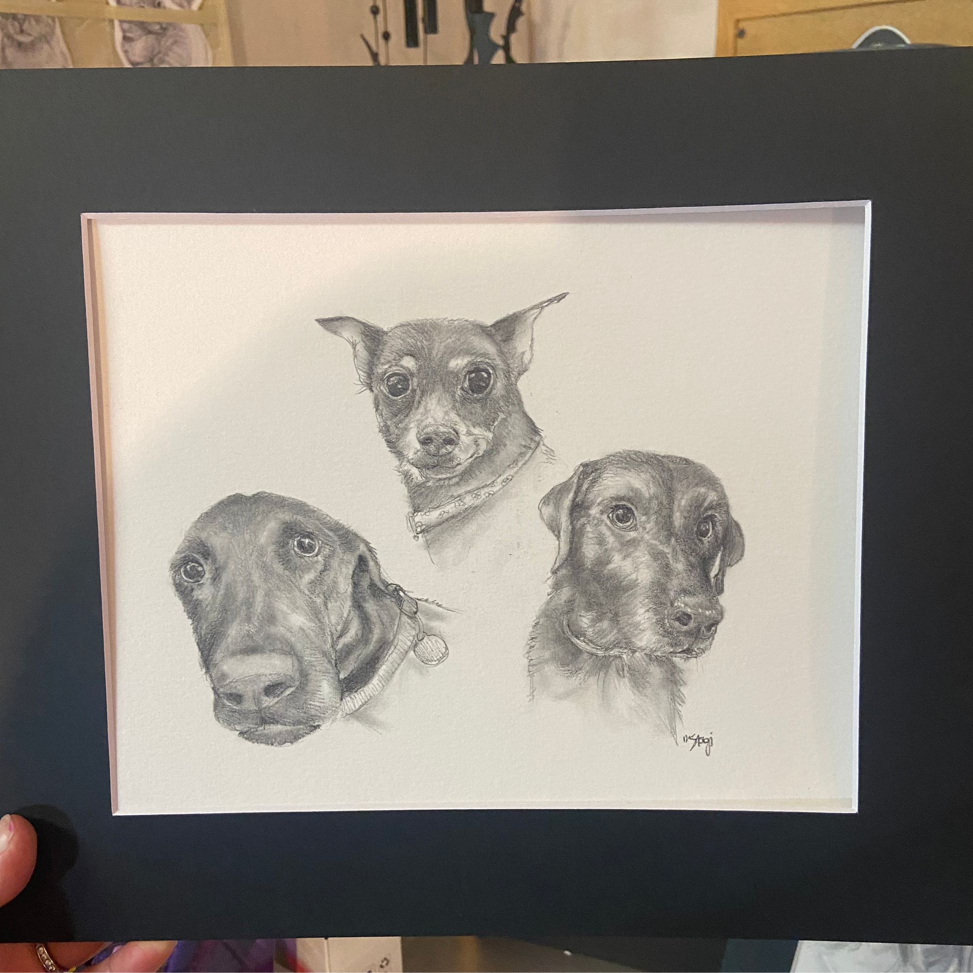 Pet Portraits, Commissioned Portraits, Customer Family Portraits