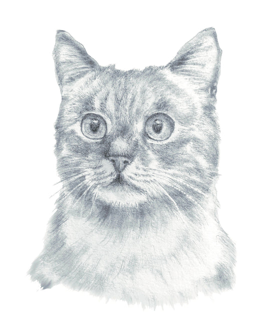 Wide Eyed Kitty Print Catlovers Feline Art
