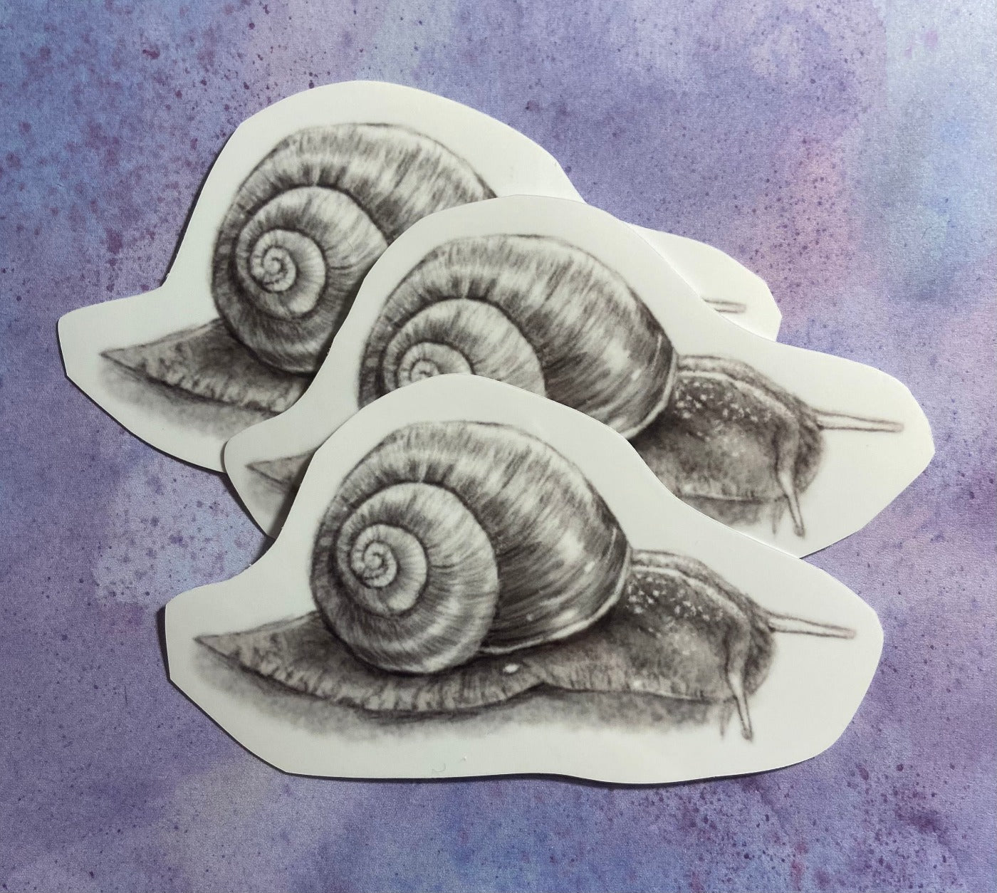 Snail Pencil Drawn Sticker