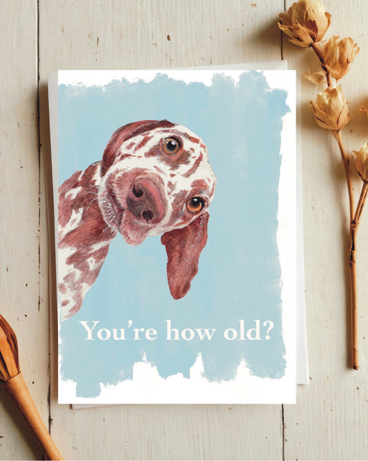 You're How Old? Dog greeting card, happy birthday, pet art, animal art greeting card