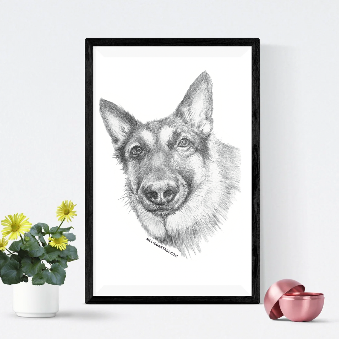 Pet Portrait Sketch, Custom Animal Drawing, Dog Portrait from Photo, Cat Portrait from Photo, Pet Memorial Gift, Pet Loss, Pet Memorial