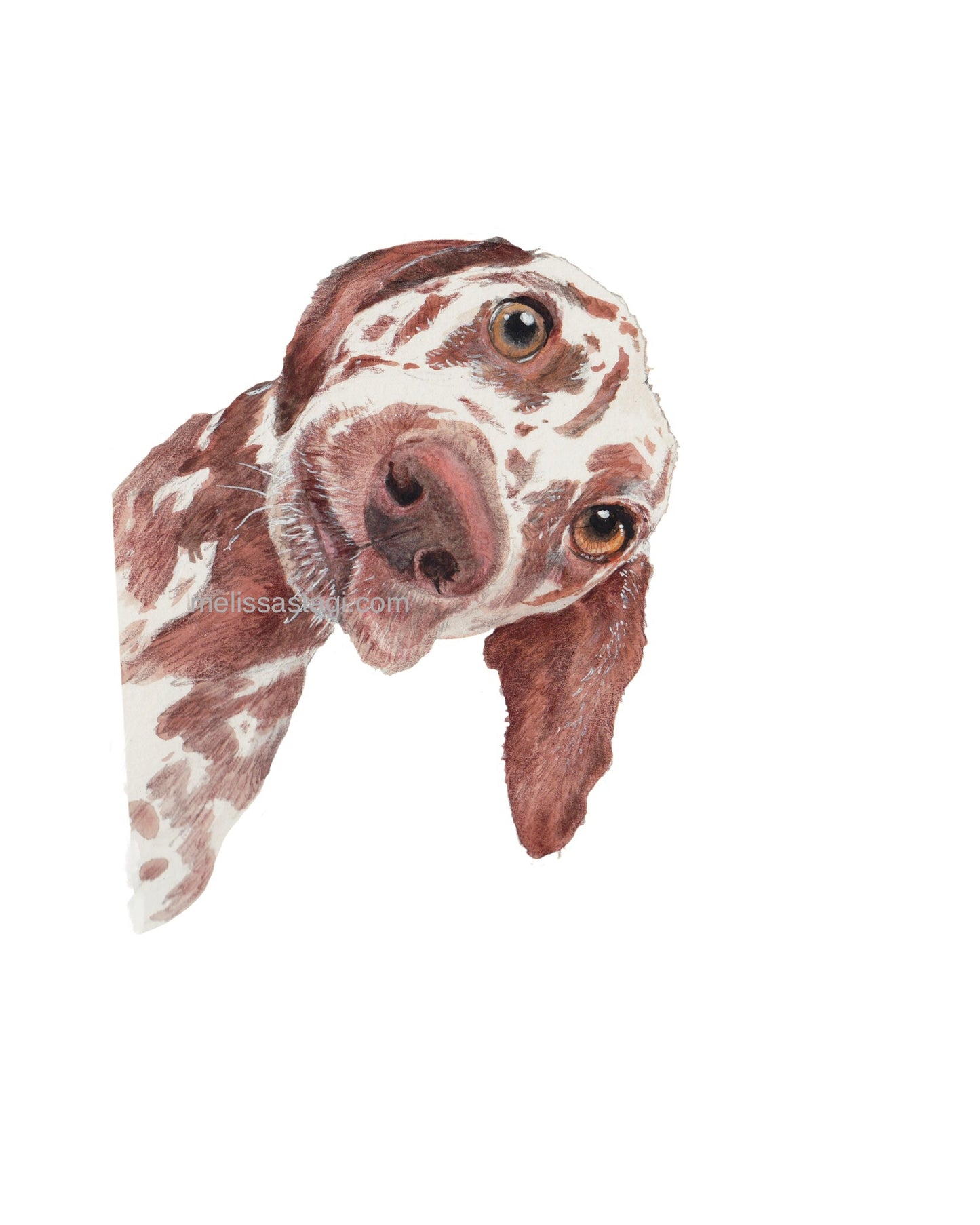 I see you Dog Print, Dog Art, Dog Parent, Funny Pet Art, Dog Prints