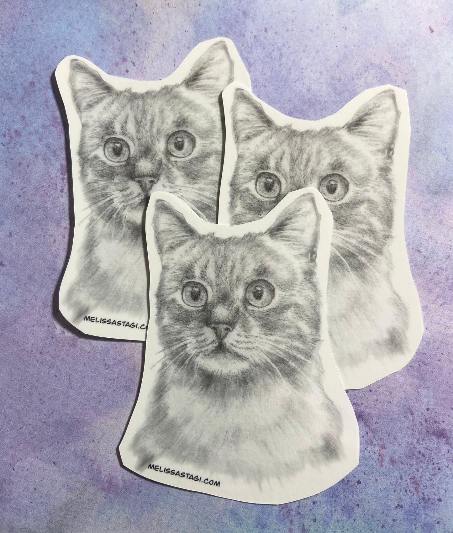 Wide Eyed Cat Sticker Pencil Drawn