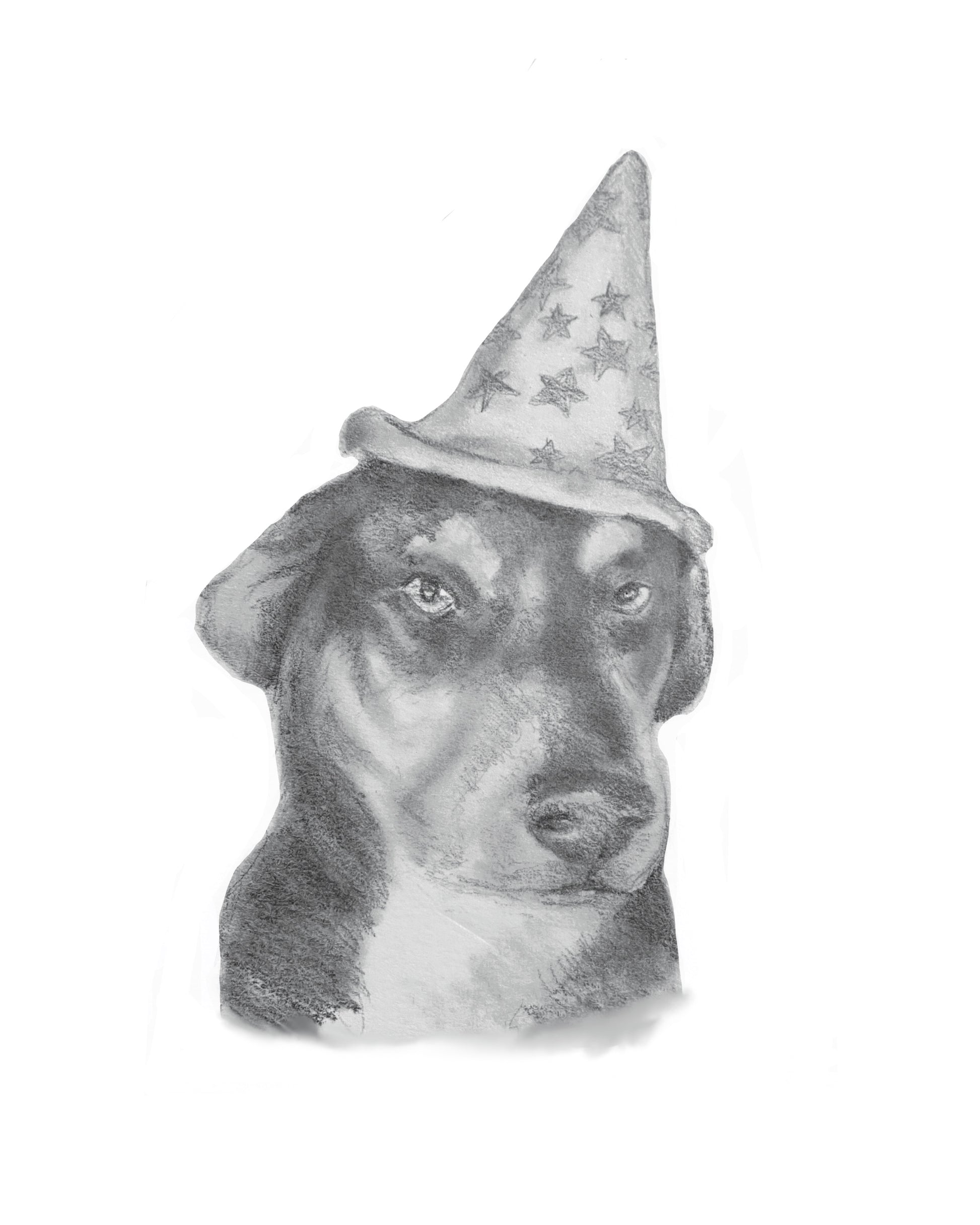 Pet Portraits, Commissioned Portraits, Customer Family Portraits