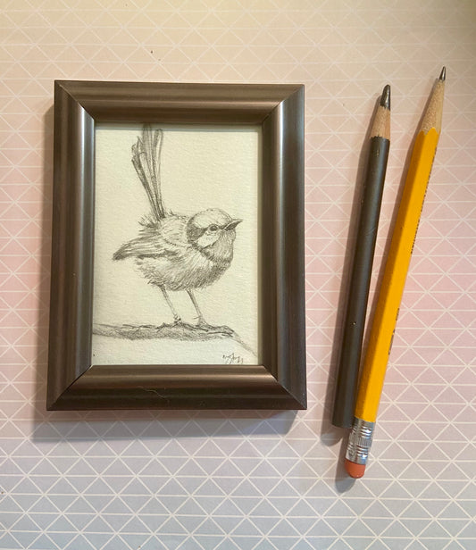 ORIGINAL Bird Pencil Drawing, graphite Art, wall art, A4, Ornithology Unique Gift, Pencil Sketch, Artwork Unframed, bird art